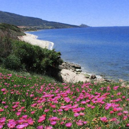 Aparthotel Residenza Sul Mare Valledoria  Exterior foto