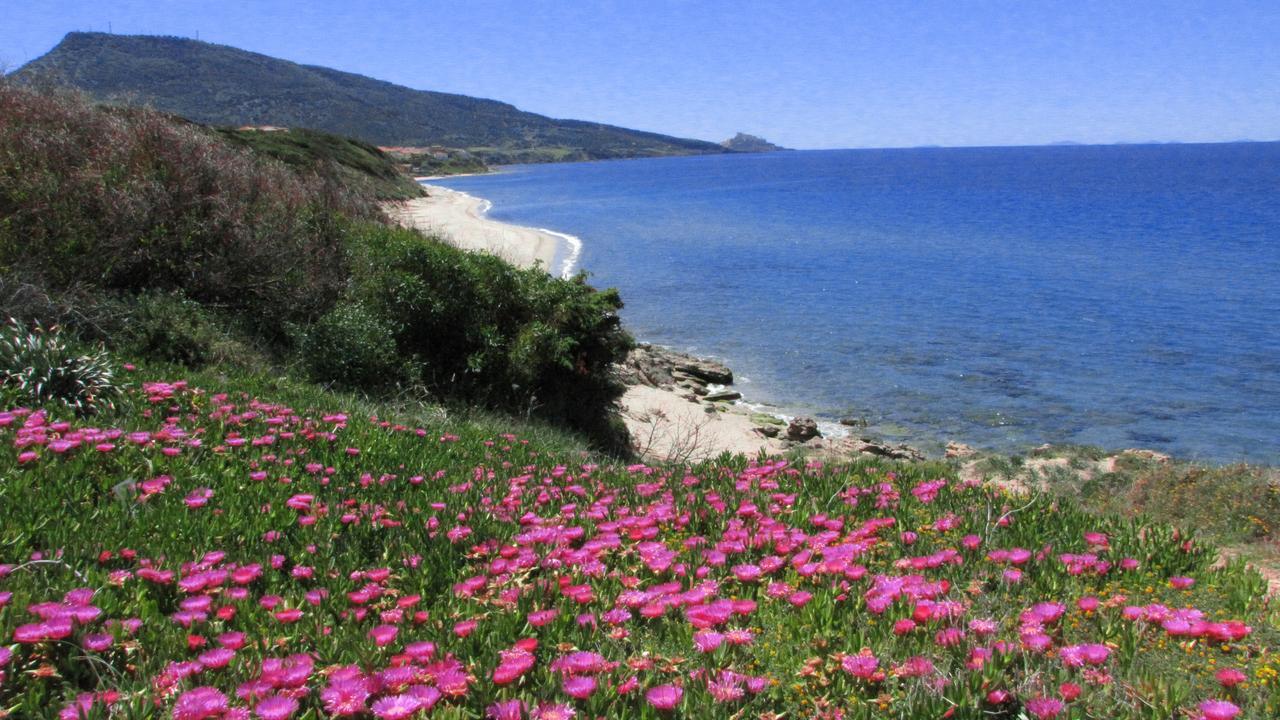 Aparthotel Residenza Sul Mare Valledoria  Exterior foto